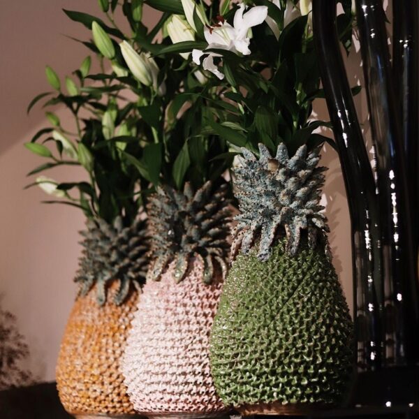 Ananas Des Pots