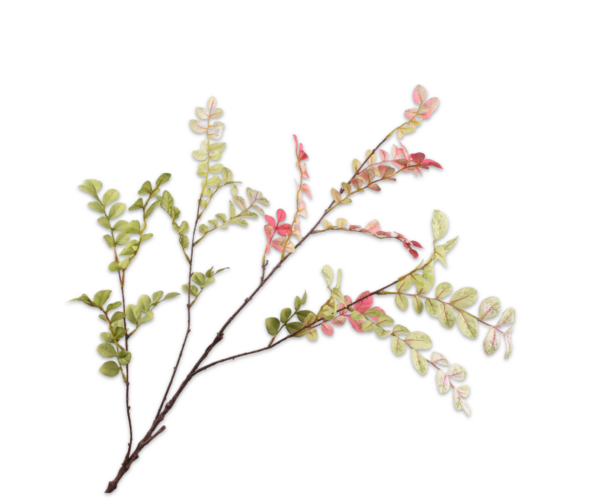 Bladtak zijde groen-roze