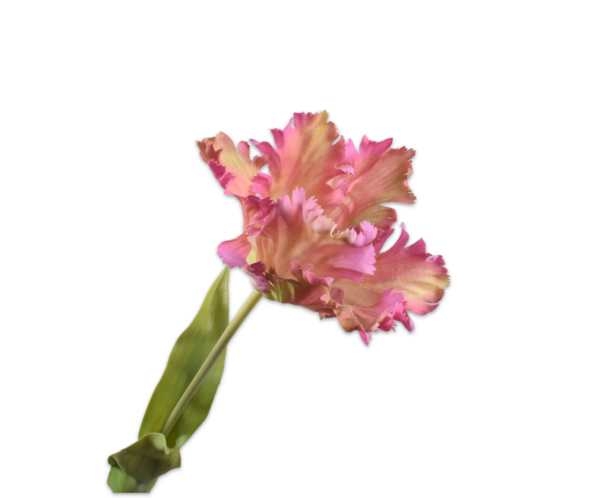 Tulp zijde oudroze-geel