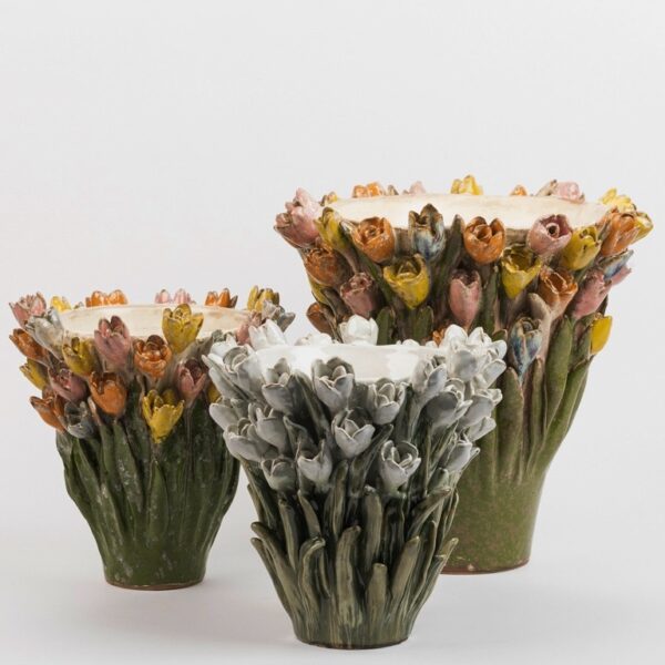 Tulp Des Pots