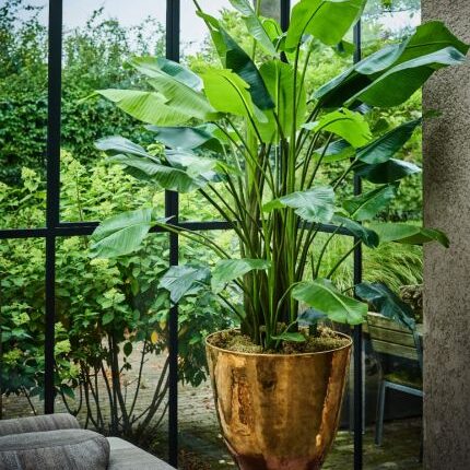 Messing koper Des Pots