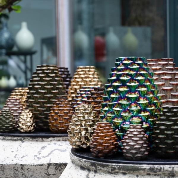 Dennenappel Des Pots