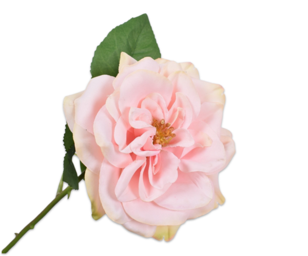 Roos (open) zijde roze