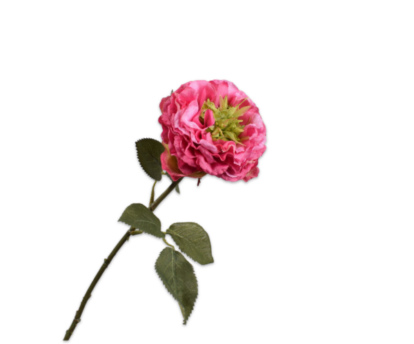 Roos (groen hart) zijde roze