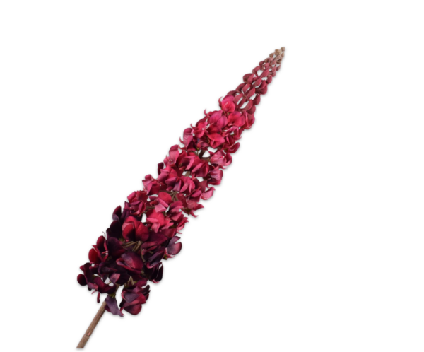Lupine zijde roze-rood