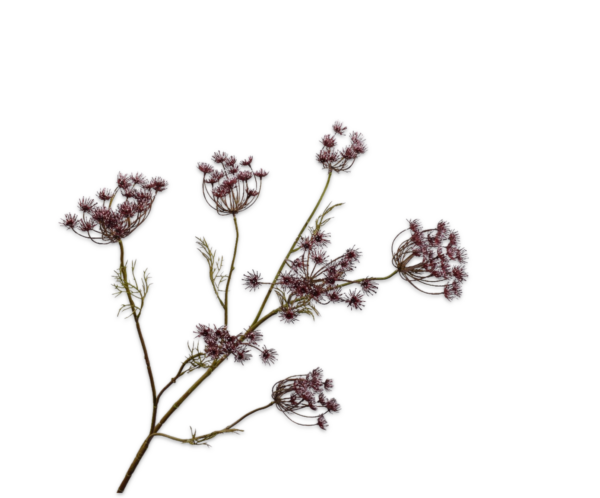 Dille kunst paars-bruin