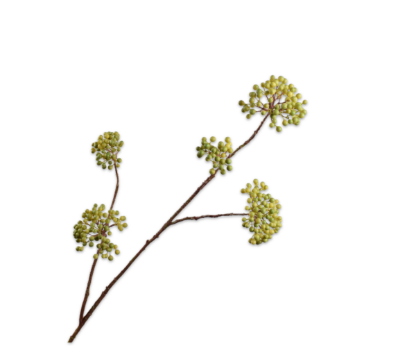 Bes kunst frisgroen XL