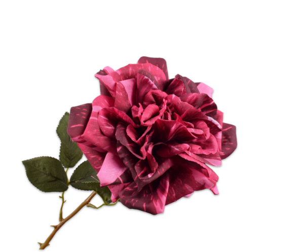 Roos (open) zijde roze-paars