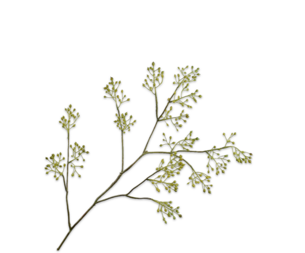 Rozenbottel kunst groen XL