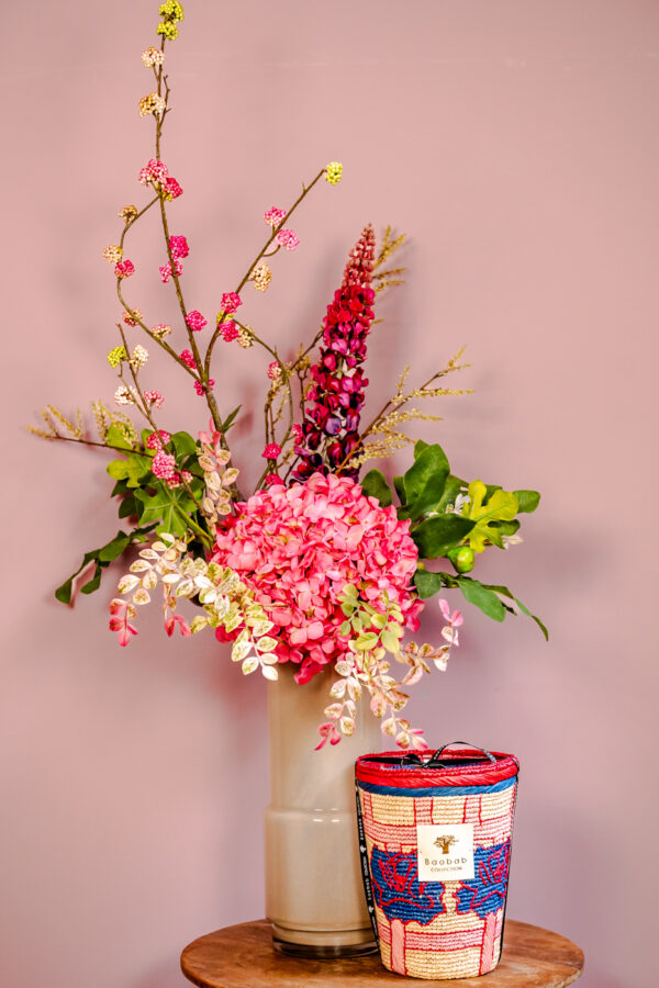 Vaas Fenn Dutz beige